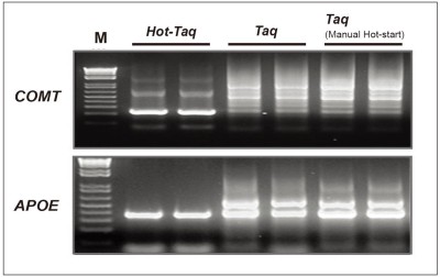 HT_Figure 1. The high specificity of HelixAmp™ Hot-Taq Polymerase.