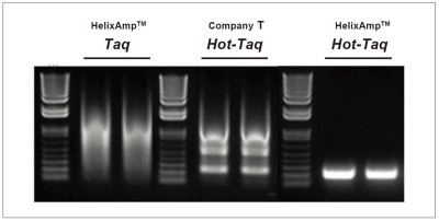 HT_Figure 2. HelixAmp™ Hot-Taq Polymerase is highly specific.