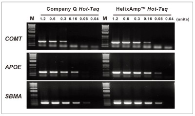 HT_Figure 3. HelixAmp™ Hot-Taq Polymerase possesses high activity.