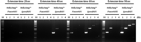 Speed-Pfu_Figure 1. The express speed of HelixAmp™ Speed-Pfu polymerase.
