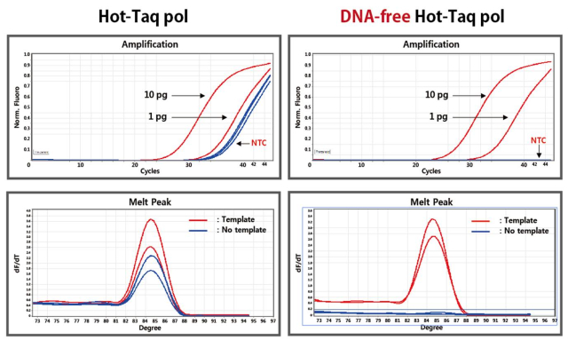 DFHT_Figure 1. Contamination test of host DNA in HelixAmp™ DNA-free Hot-Taq Polymerase.