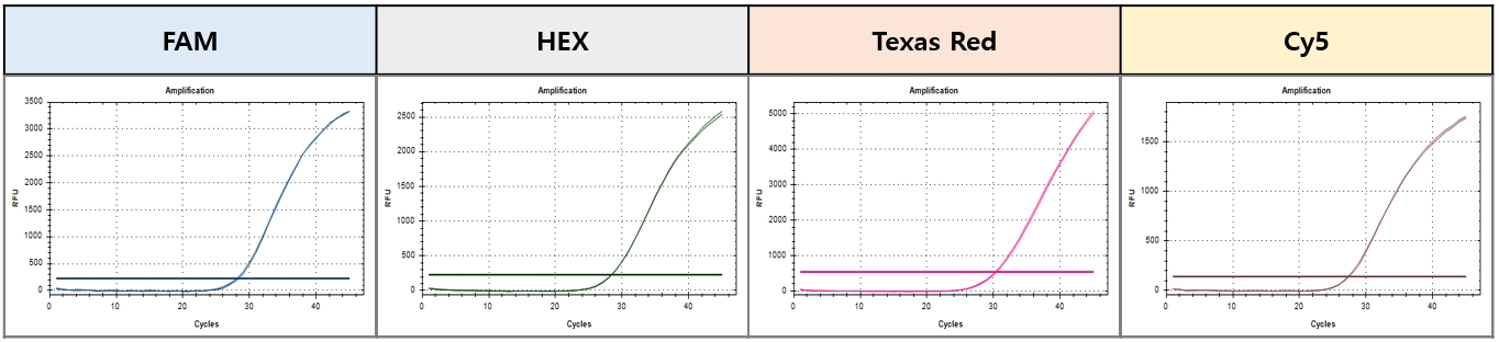 Figure 1. Multiplex (four targets) qRT-PCR with RealHelix™ qRT-PCR Kit [Probe].