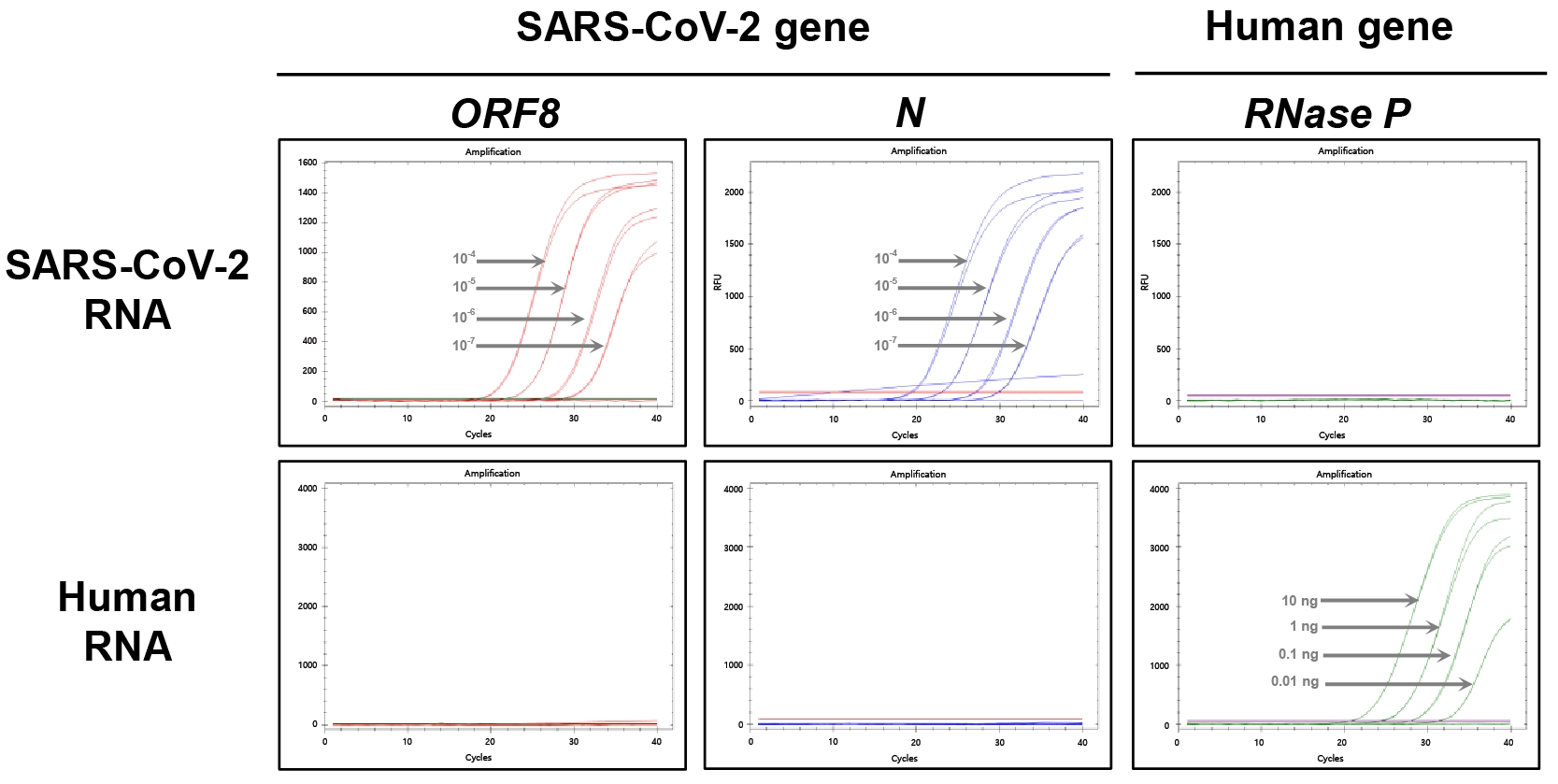 CVQR4_Figure. Multiplex qRT-PCR using the RealHelix™ qRT-PCR Kit [v4] [UDG System].