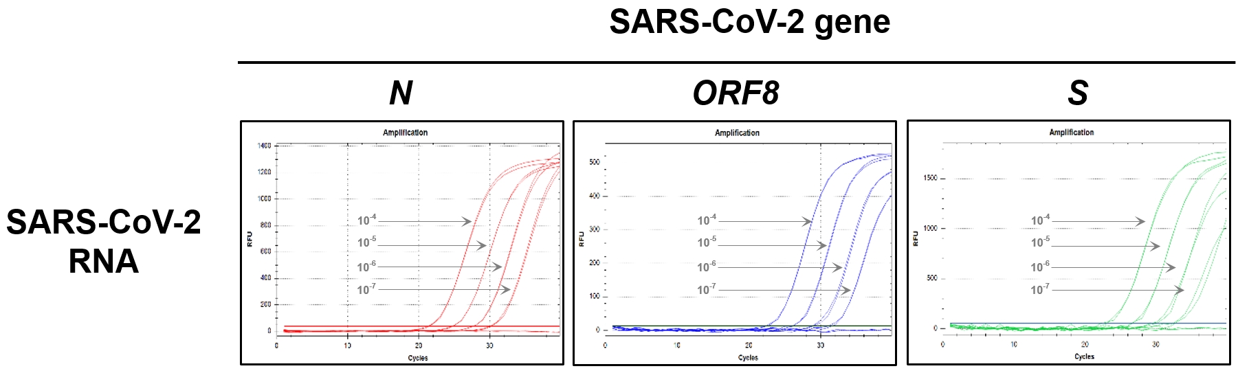 CVQR6_Figure 1. Multiplex qRT-PCR using the RealHelix™ qRT-PCR Kit [v6] [UDG System].