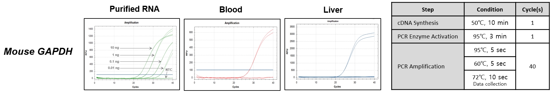 DFQRU_Figure 2. Direct and fast real-time RT-PCR using RealHelix™ DirectFast qRT-PCR Kit from mouse tissues.