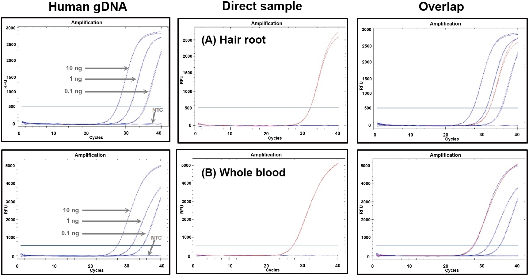 DFQPU_Figure. Direct and fast real-time PCR using RealHelix™ DirectFast qPCR Kit.