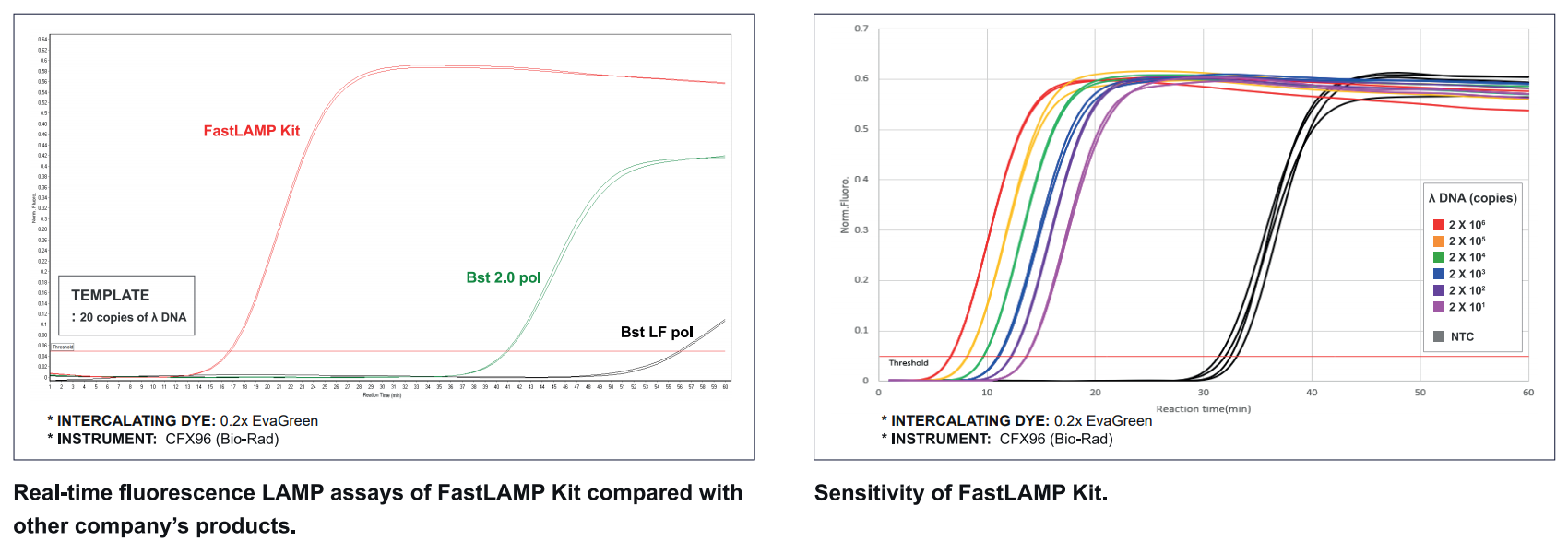 FLMP2_Figure. Real-time fluorescence LAMP assays of FastLAMP Kit