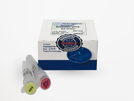RealHelix™ Superplex qPCR Kit [Probe]